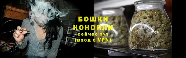 PSILOCYBIN Баксан