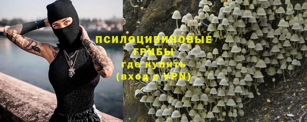 шишки Ростов