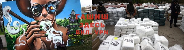 гашик Кодинск
