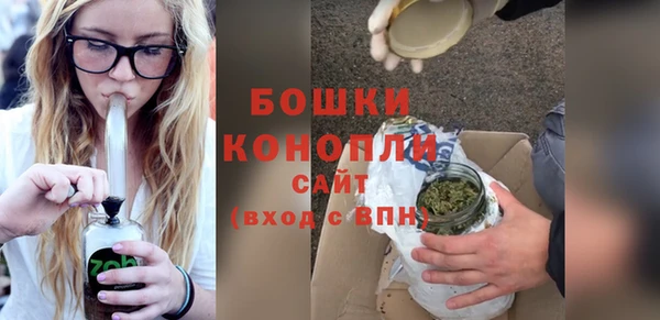 PSILOCYBIN Баксан