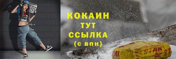 шишки Ростов